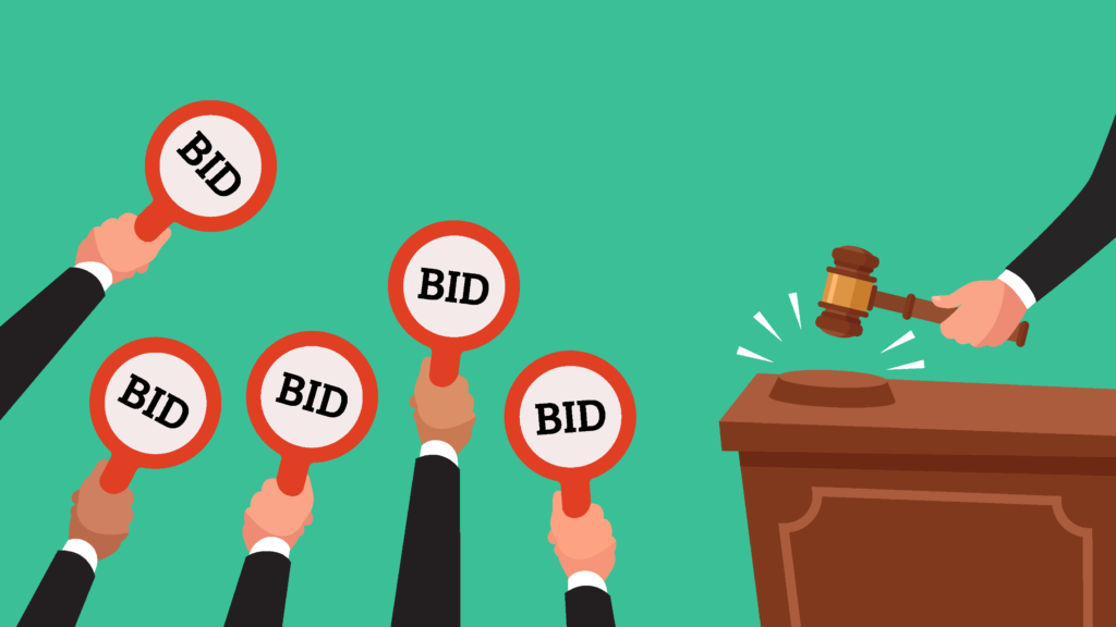 Domain Name Auctions